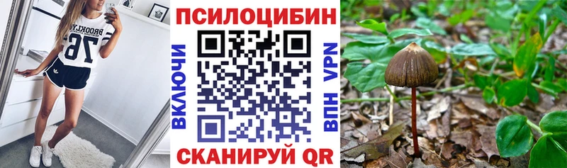 hydra как зайти  Дмитриев  Псилоцибиновые грибы Psilocybe  как найти наркотики 